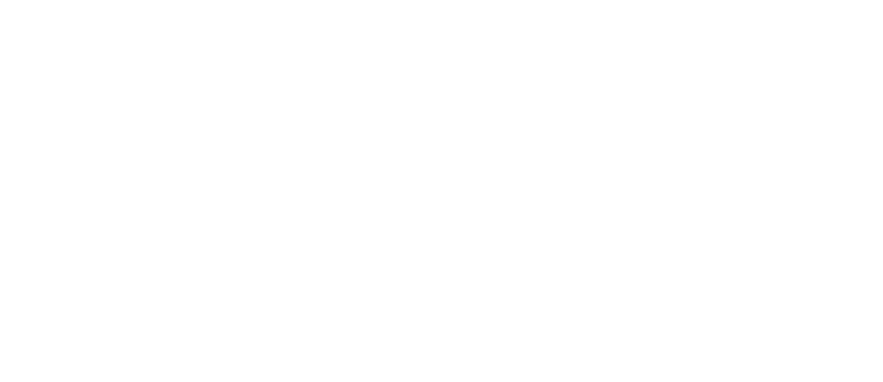 New smile Lab logo